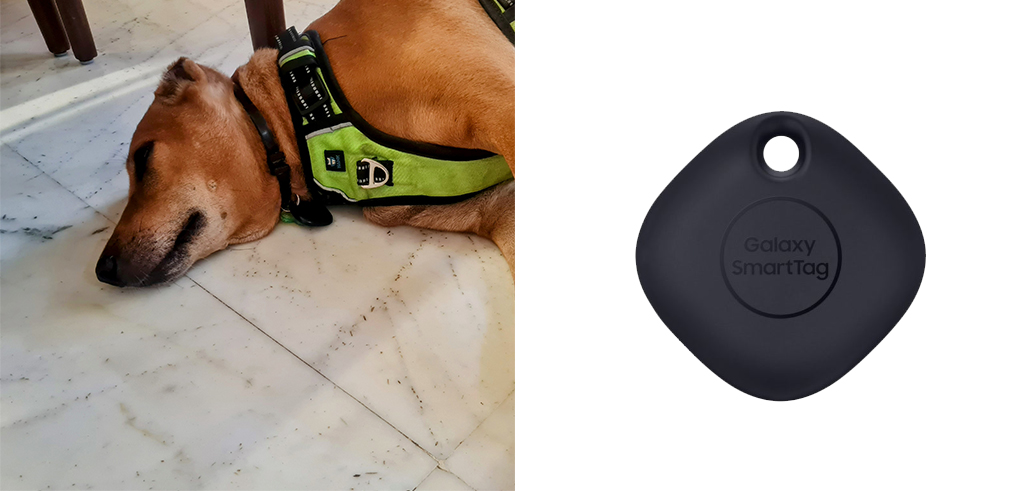 Kamla with her Samsung Smart Tag