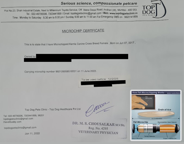 Kamla’s Microchip certificate